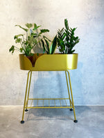 Helen Plant Stand