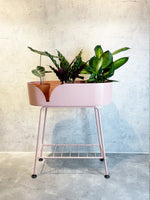 Helen Plant Stand